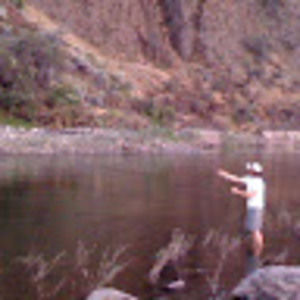 Meet your Posher, Mikey